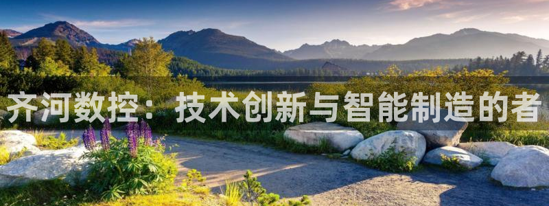 天辰娱乐老板:齐河数控:技术创新与智能制造的者