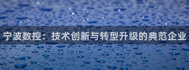 天辰娱乐客服:宁波数控:技术创新与转型升级的典范企业