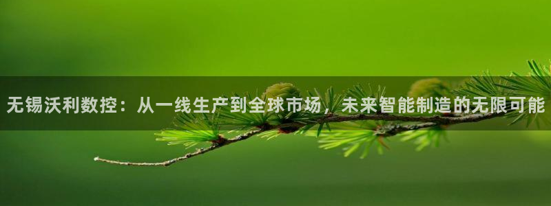 天辰娱乐 首选:无锡沃利数控:从一线生产到全球市场,未来智能制造的无限可能