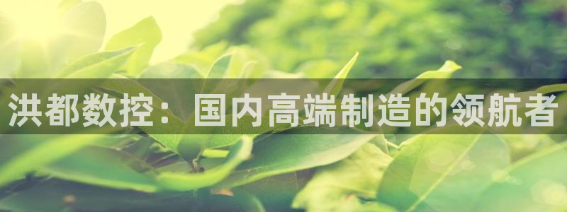 天辰娱乐台湾:洪都数控:国内高端制造的领航者