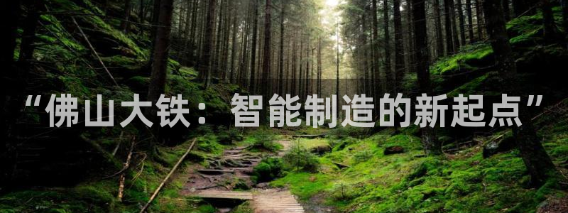 天辰娱乐论坛:“佛山大铁:智能制造的新起点”