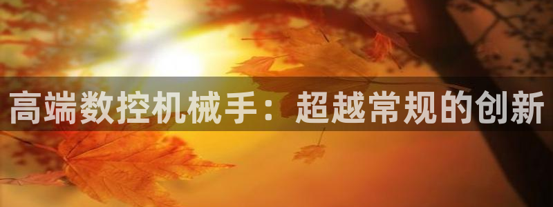 天辰娱乐网:高端数控机械手:超越常规的创新