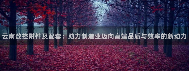 天辰娱乐所:云南数控附件及配套:助力制造业迈向高端品质与效率的新动力
