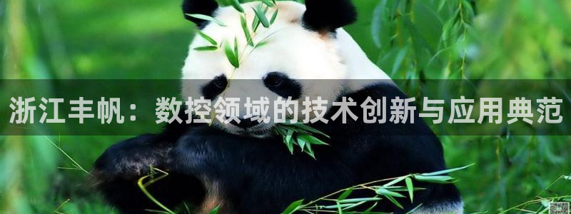 天辰娱乐下载链接:浙江丰帆:数控领域的技术创新与应用典范