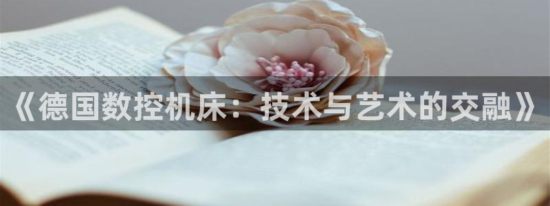 哈尔滨天辰娱乐:《德国数控机床:技术与艺术的交融》