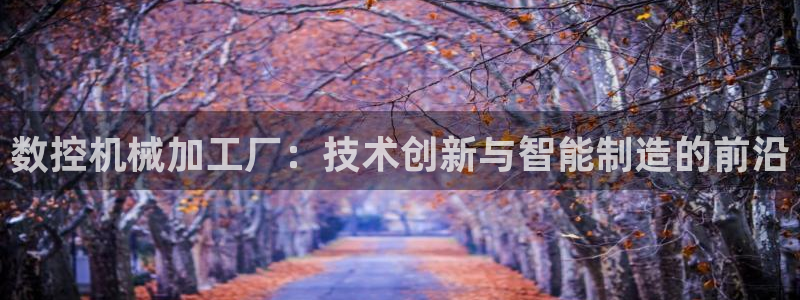 天辰娱乐简介:数控机械加工厂:技术创新与智能制造的前沿