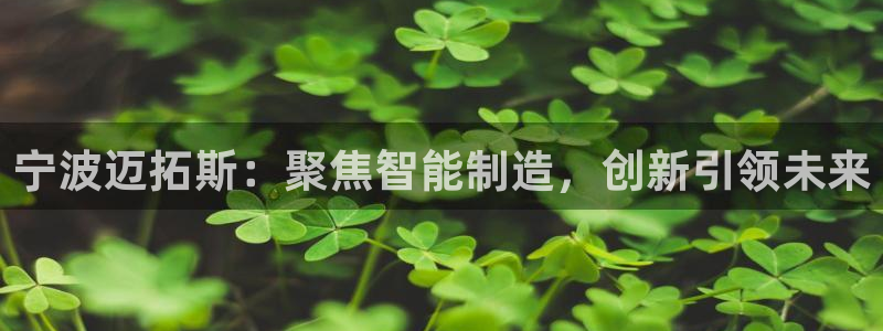 天辰娱乐分红:宁波迈拓斯:聚焦智能制造,创新引领未来