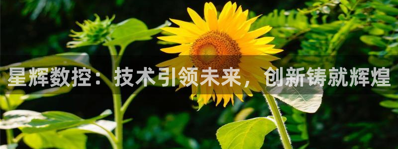 天辰娱乐下载链接:星辉数控:技术引领未来,创新铸就辉煌