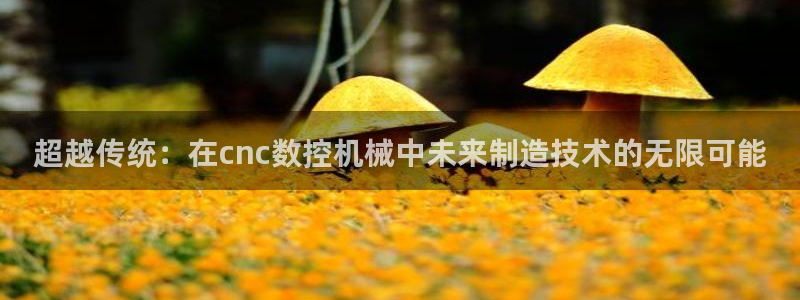 天辰宝宝娱乐:超越传统:在cnc数控机械中未来制造技术的无限可能