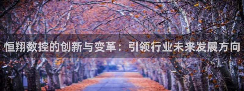天辰娱乐app:恒翔数控的创新与变革:引领行业未来发展方向