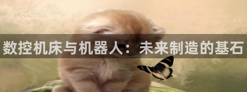 天辰娱乐-q:数控机床与机器人:未来制造的基石
