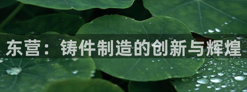 天辰娱乐下载地址:东营:铸件制造的创新与辉煌