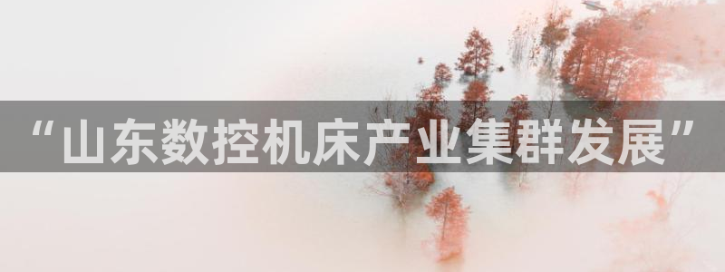 天辰宝娱乐:“山东数控机床产业集群发展”