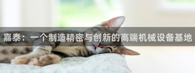 天辰娱乐appxi:嘉泰:一个制造精密与创新的高端机械设备基地