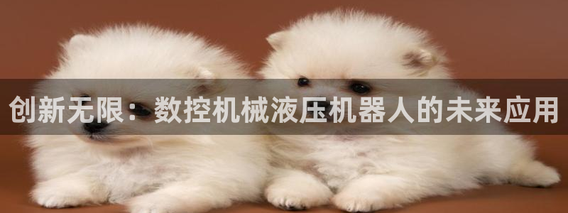 天辰娱乐_ 18113:创新无限:数控机械液压机器人的未来应用