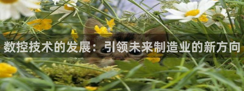 天辰娱乐说:数控技术的发展:引领未来制造业的新方向