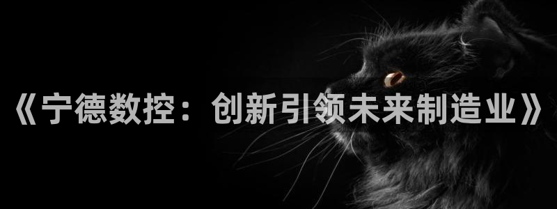 天辰娱乐平台地址在哪里:《宁德数控:创新引领未来制造业》