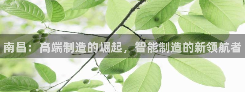 天辰娱乐欢乐:南昌:高端制造的崛起,智能制造的新领航者