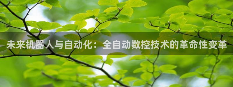 天辰在线娱乐:未来机器人与自动化:全自动数控技术的革命性变革