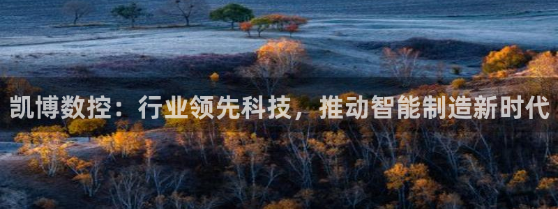 天辰娱乐台湾:凯博数控:行业领先科技,推动智能制造新时代